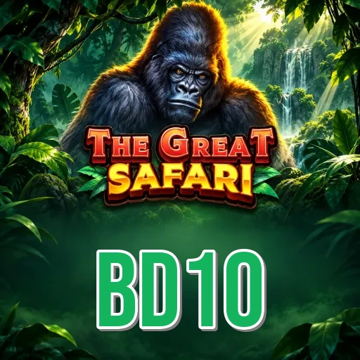 bd10 Features